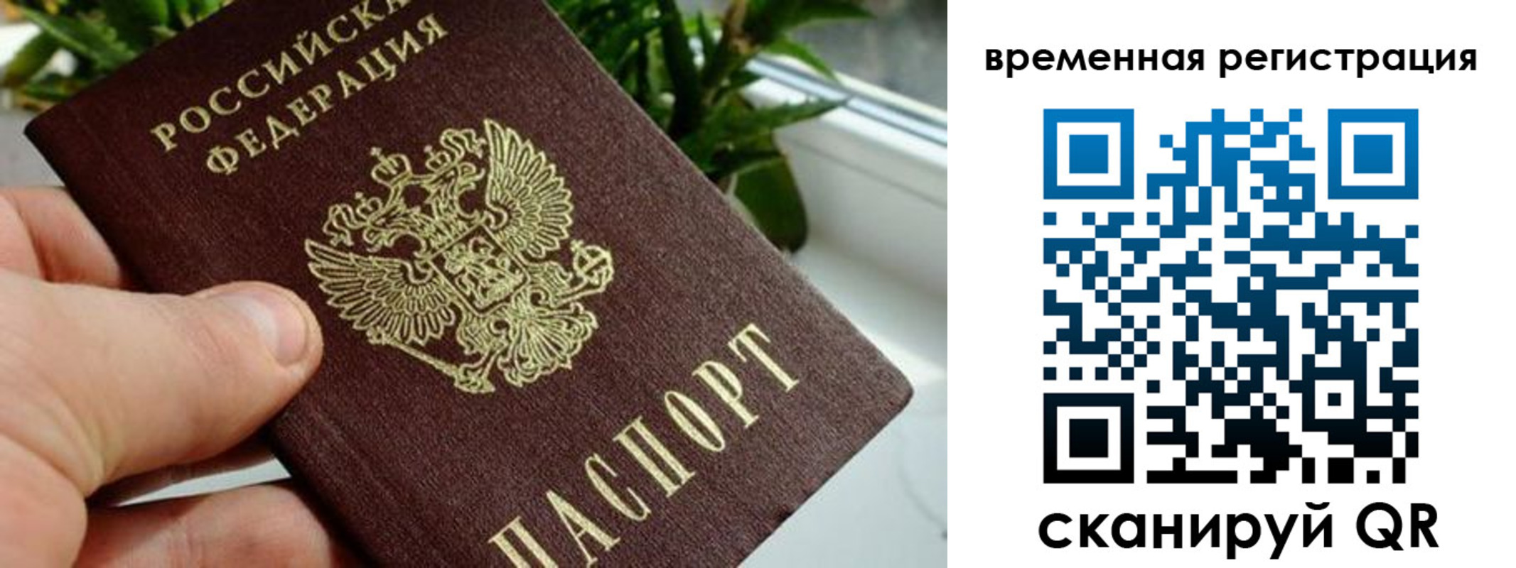 прописка поиск в Пермской области